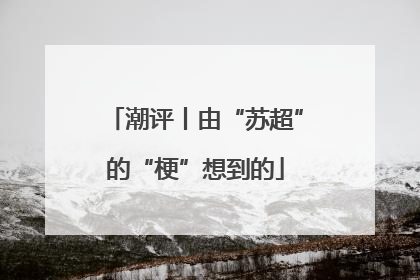 潮评丨由“苏超”的“梗”想到的