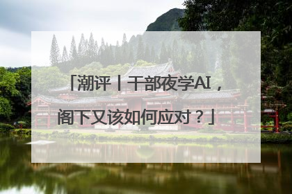 潮评丨干部夜学AI，阁下又该如何应对？