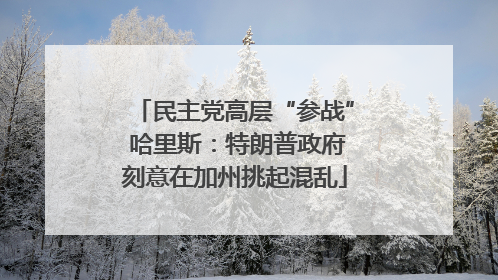 民主党高层“参战” 哈里斯：特朗普政府刻意在加州挑起混乱
