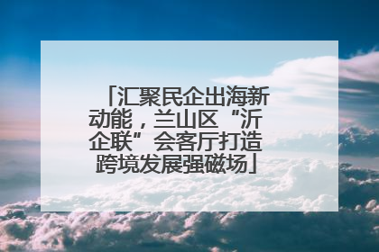 汇聚民企出海新动能，兰山区“沂企联”会客厅打造跨境发展强磁场