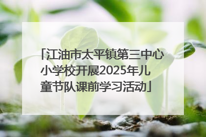 江油市太平镇第三中心小学校开展2025年儿童节队课前学习活动
