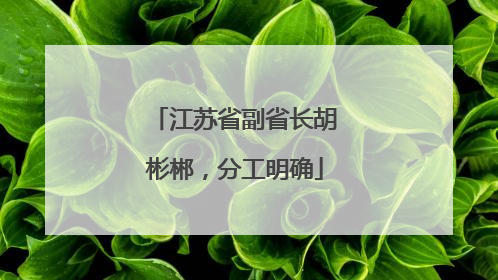 江苏省副省长胡彬郴，分工明确