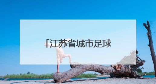 江苏省城市足球联赛火爆继续 球迷观赛热情高涨