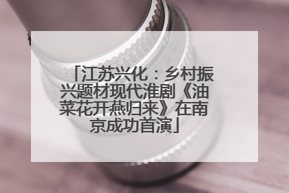 江苏兴化：乡村振兴题材现代淮剧《油菜花开燕归来》在南京成功首演