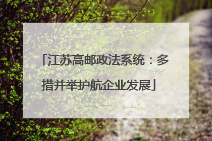 江苏高邮政法系统：多措并举护航企业发展