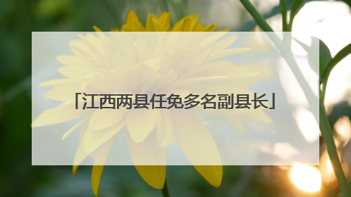 江西两县任免多名副县长