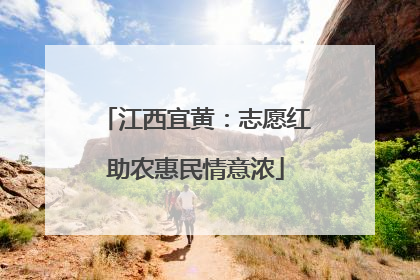 江西宜黄：志愿红助农惠民情意浓