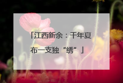 江西新余：千年夏布一支独“绣”