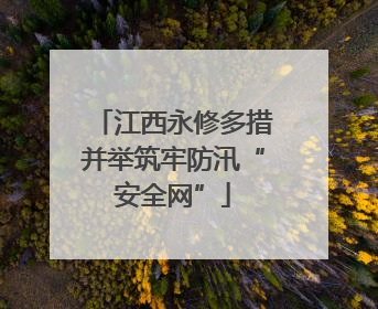 江西永修多措并举筑牢防汛“安全网”