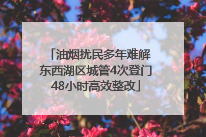 油烟扰民多年难解 东西湖区城管4次登门48小时高效整改