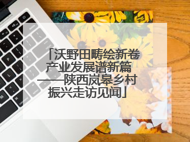 沃野田畴绘新卷 产业发展谱新篇——陕西岚皋乡村振兴走访见闻