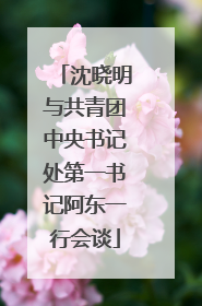 沈晓明与共青团中央书记处第一书记阿东一行会谈