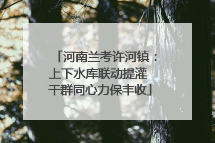 河南兰考许河镇：上下水库联动提灌 干群同心力保丰收