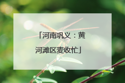 河南巩义：黄河滩区麦收忙