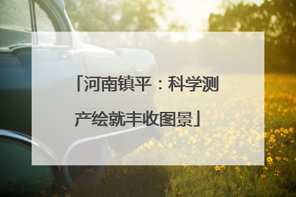 河南镇平：科学测产绘就丰收图景
