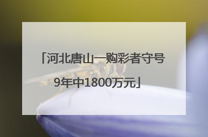 河北唐山一购彩者守号9年中1800万元