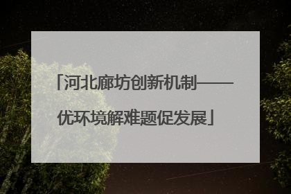 河北廊坊创新机制——优环境解难题促发展