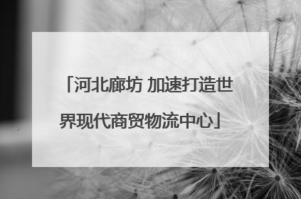 河北廊坊 加速打造世界现代商贸物流中心