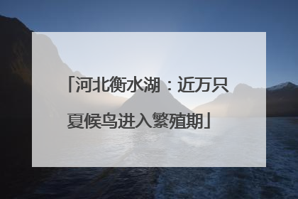 河北衡水湖：近万只夏候鸟进入繁殖期