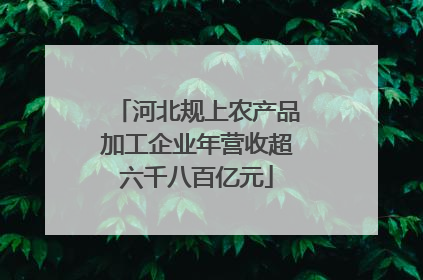 河北规上农产品加工企业年营收超六千八百亿元