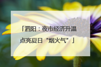 泗阳：夜市经济升温 点亮夏日“烟火气”