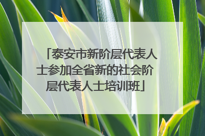 泰安市新阶层代表人士参加全省新的社会阶层代表人士培训班