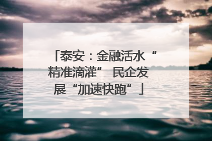 泰安：金融活水“精准滴灌” 民企发展“加速快跑”