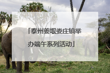 泰州姜堰娄庄镇举办端午系列活动