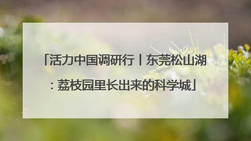 活力中国调研行丨东莞松山湖：荔枝园里长出来的科学城