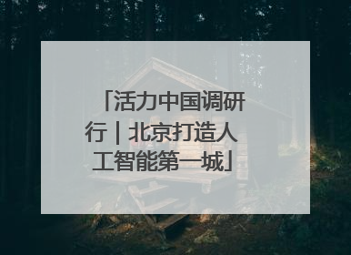 活力中国调研行｜北京打造人工智能第一城