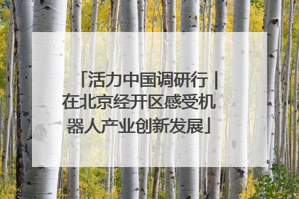 活力中国调研行｜在北京经开区感受机器人产业创新发展