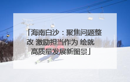海南白沙：聚焦问题整改 激励担当作为 绘就高质量发展新图景