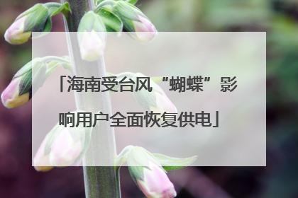 海南受台风“蝴蝶”影响用户全面恢复供电