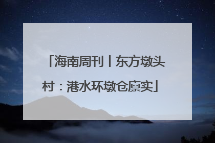 海南周刊丨东方墩头村：港水环墩仓廪实