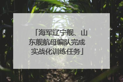 海军辽宁舰、山东舰航母编队完成实战化训练任务