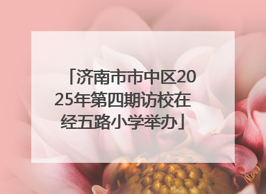 济南市市中区2025年第四期访校在经五路小学举办