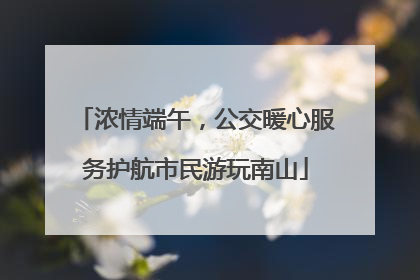浓情端午，公交暖心服务护航市民游玩南山
