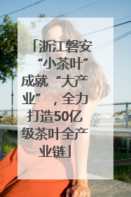 浙江磐安“小茶叶”成就“大产业”，全力打造50亿级茶叶全产业链