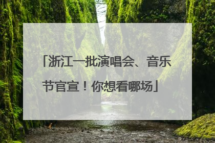 浙江一批演唱会、音乐节官宣！你想看哪场
