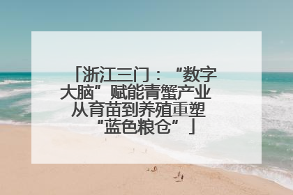 浙江三门：“数字大脑”赋能青蟹产业 从育苗到养殖重塑“蓝色粮仓”