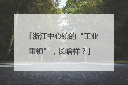 浙江中心镇的“工业重镇”，长啥样？