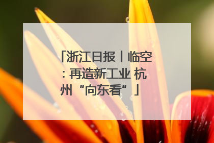 浙江日报丨临空：再造新工业 杭州“向东看”