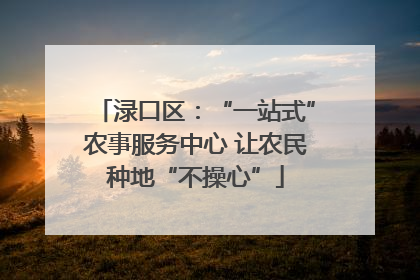 渌口区：“一站式”农事服务中心 让农民种地“不操心”