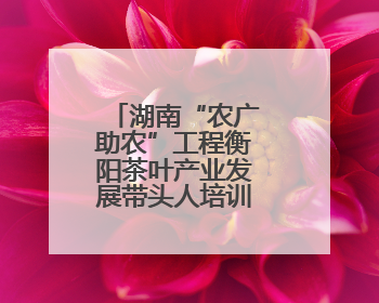 湖南“农广助农”工程衡阳茶叶产业发展带头人培训班圆满落幕