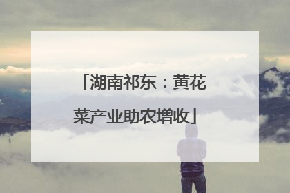 湖南祁东：黄花菜产业助农增收