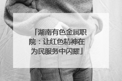 湖南有色金属职院：让红色精神在为民服务中闪耀