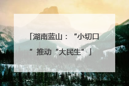 湖南蓝山：“小切口”推动“大民生”