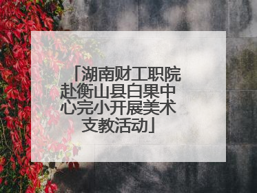 湖南财工职院赴衡山县白果中心完小开展美术支教活动