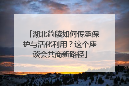 湖北简牍如何传承保护与活化利用？这个座谈会共商新路径