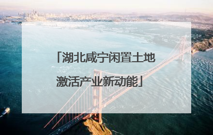 湖北咸宁闲置土地激活产业新动能